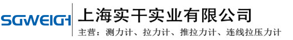 上海實干實業有限公司